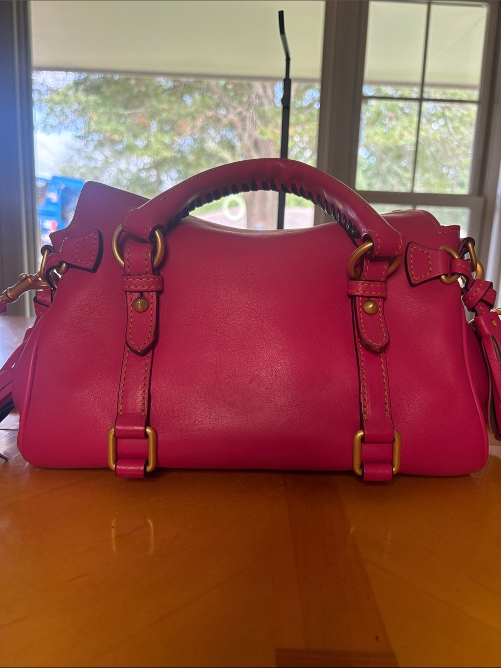 Dooney & Bourke Fuchsia Florentine Satchel - Picture 3 of 15